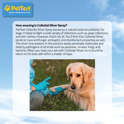 Tratamiento en aerosol para perros con plata coloidal, botella de 8 onzas líquidas