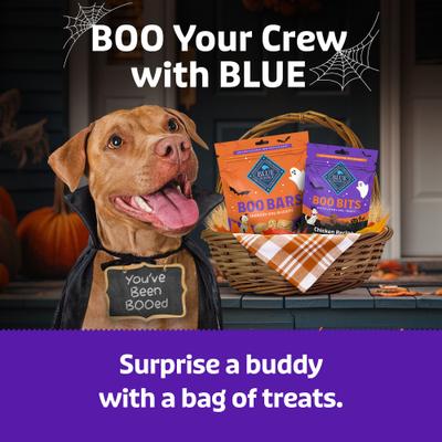 Boo Bars Pumpkin & Cinnamon Recipe Crunchy Halloween Dog Biscuits, 11-oz bag