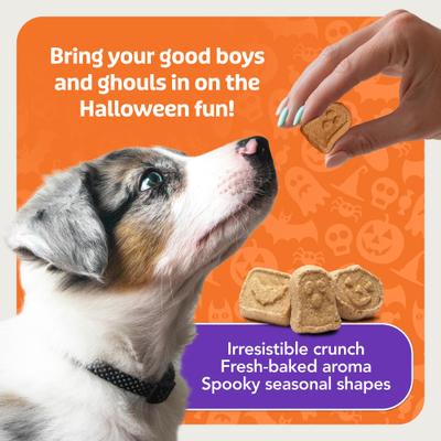 Boo Bars Pumpkin & Cinnamon Recipe Crunchy Halloween Dog Biscuits, 11-oz bag