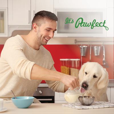 Leche de camello en polvo Nature's Sip con manzana, coco, remolacha y menta, complemento para alimento para perros sin cereales y premio líquido, frasco de 147 g