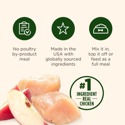 Grain-Free Real Chicken & Apple Recipe Premium Pate Wet Dog Food, 13-oz can, case of 12 (Rachael Ray)