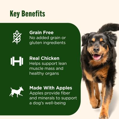 Grain-Free Real Chicken & Apple Recipe Premium Pate Wet Dog Food, 13-oz can, case of 12 (Rachael Ray)