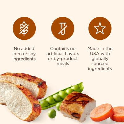 Soup Bones Minis Chews with Real Chicken & Veggies Dog Treats, 6.3-oz pouch (Rachael Ray)