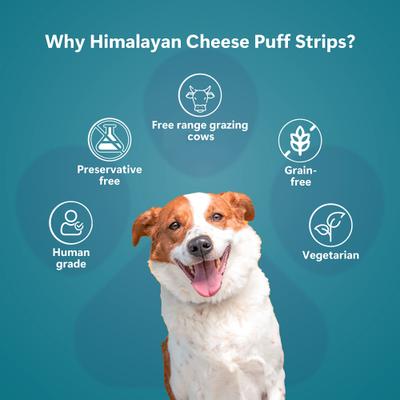 Himalayan Cheese Puff Strips All Natural Grain-Free High-Protein Crunchy Dog Training Treat, 2.47-oz bag