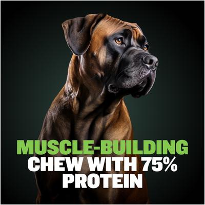 High-Protein Power Dog Chew, 3.5-oz pouch