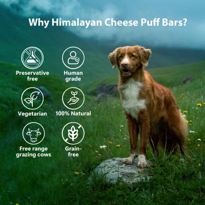 Barras de hojaldre de queso del Himalaya, totalmente naturales, sin cereales, ricas en proteínas, crujientes, para entrenamiento de perros, bolsa de 2.47 oz