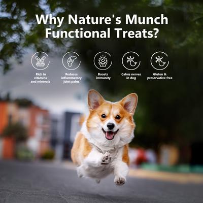 Nature's Munch Freeze-Dried Functional Joint Mobility Cheese Dog Treat, 2.65-oz canister