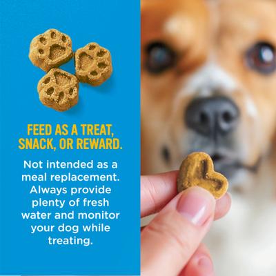 Perfect Trainers Beef Soft & Chewy Dog Treats, 6-oz bag