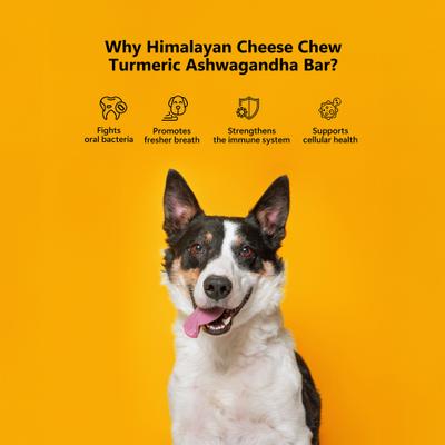 Himalayan Cheese Chews Large All Natural High-Protein Grain-Free with Turmeric & Ashwagandha-Indian Ginseng Dental Dog Treats, 3 count