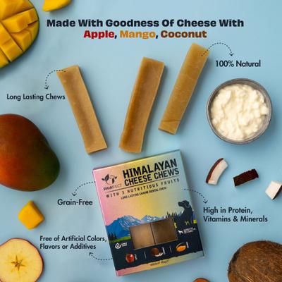 Himalayan Cheese Chews Medium All Natural High-Protein Grain-Free with Apple, Coconut & Mango Dental Dog Treats, 3 count