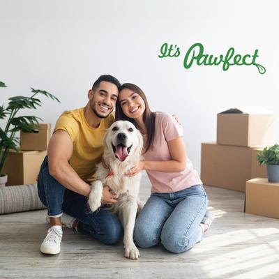 Himalayan Cheese Chews Small All Natural High-Protein Grain-Free Dental Dog Treats, 3 count