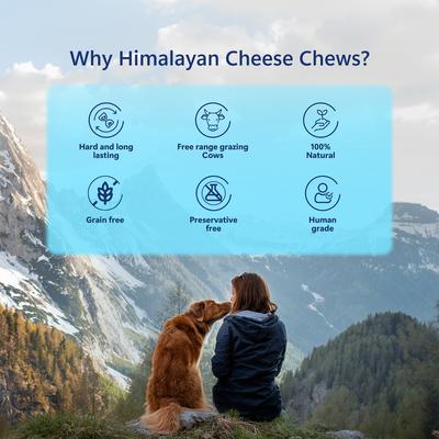 Himalayan Cheese Chews Small All Natural High-Protein Grain-Free Dental Dog Treats, 3 count