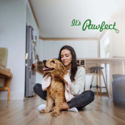 Himalayan Cheese Chews Large All Natural High-Protein Grain-Free Dental Dog Treat, 4.93-oz