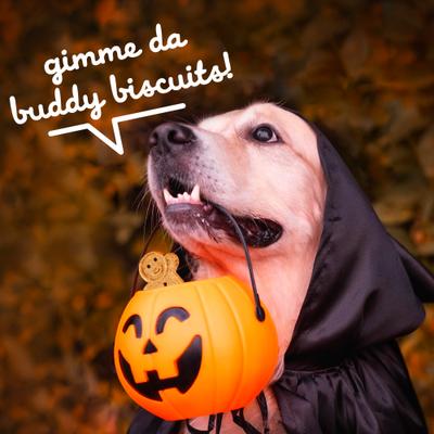 Crunchy Wheat-Free Pumpkin Flavored Halloween Dog Treats, 14-oz box
