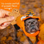 Crunchy Wheat-Free Pumpkin Flavored Halloween Dog Treats, 14-oz box