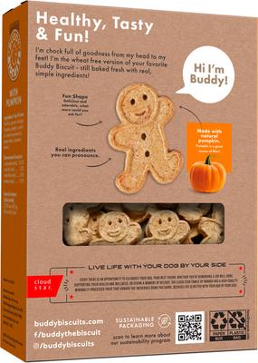 Galletas crujientes para perros con sabor a calabaza y sin trigo para Halloween, caja de 14 oz