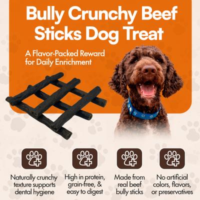 6-in Bully Crunchy Beef Sticks Dog Treat, 24 count