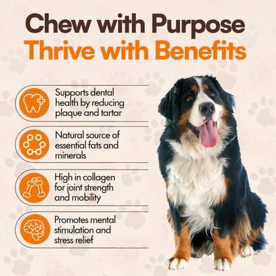 6-in Beef Marrow Filled Bone Dog Chew Treat, 1 count