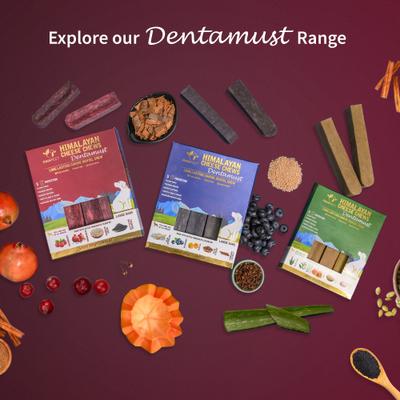 Dentamust Himalayan Cheese Chew Medium All Natural High-Protein Grain-Free with Cranberry Pomengranate Pumpkin seeds & Activated Charcoal Dental Dog Treat, 2.46-oz