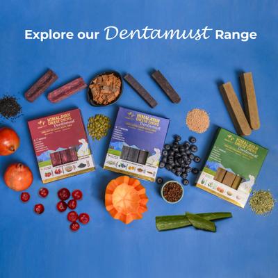 Dentamust Himalayan Cheese Chew Medium All Natural High-Protein Grain-Free Dental with Blueberry Blue Sipirulina Papaya Clove Extract & Cinnamon Extract Dog Treat, 2.46-oz