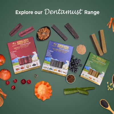 Dentamust Himalayan Cheese Chews Large All Natural High-Protein Grain-Free with Aloe Vera Green Tea Extract Honey Fennel & Sesame Seeds Dental Dog Treat, 4.94-oz