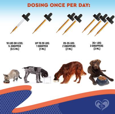 Probiotics & Prebiotics with Enzymes Liquid Supplement for Digestive Support in Dogs & Cats, 2-fl oz bottle