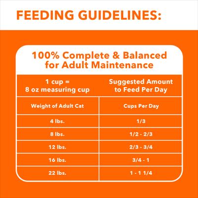 Proactive Health Healthy Enjoyment Immune Support Chicken & Beef Adult Dry Cat Food, 6-lb bag