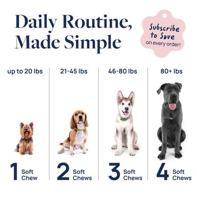 Pork Flavor Soft Chew Hip & Joint Supplement for Dogs, 60 count