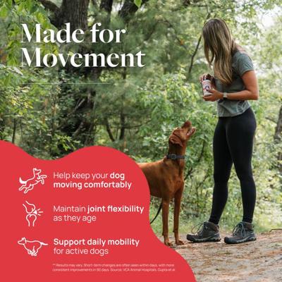 Pork Flavor Soft Chew Hip & Joint Supplement for Dogs, 60 count