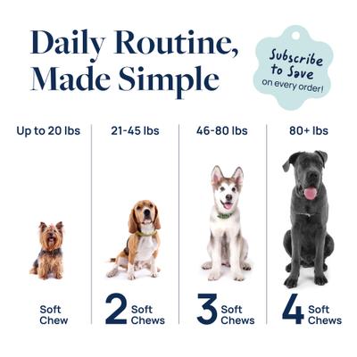 Pork Flavor Soft Chew Anal Gland Support Supplement for Dogs, 60 count