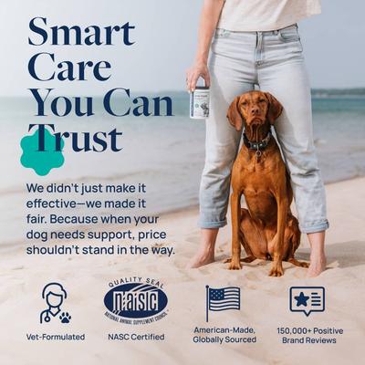 Pork Flavor Soft Chew Anal Gland Support Supplement for Dogs, 60 count