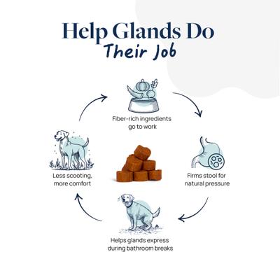 Pork Flavor Soft Chew Anal Gland Support Supplement for Dogs, 60 count