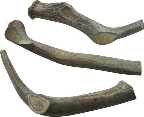 Whole Naturally Shed 10-in Deer Antler Dog Treats, Giant, 2 count