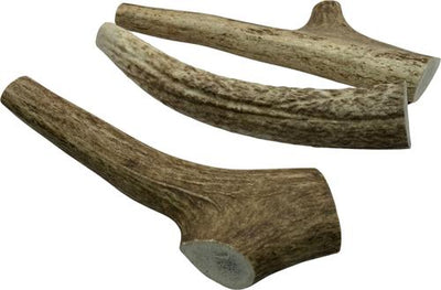 7 to 8-in Whole Elk Antlers Dog Treats, Large, 1 count