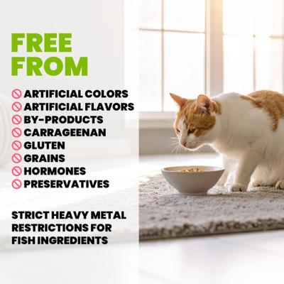 HQS Supportive Formulas Digestive Support Formula Shredded Chicken Recipe with Pumpkin in Gravy Wet Cat Food, 1.77-oz can, case of 6