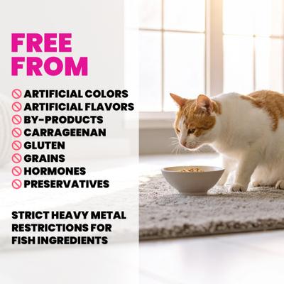 HQS Supportive Formulas Skin & Coat Support Formula Shredded Chicken Fillet Recipe in Gravy Wet Cat Food, 1.77-oz can, case of 6