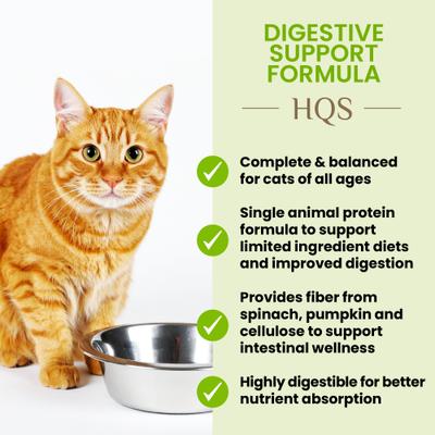 HQS Supportive Formulas Digestive Support Formula Shredded Chicken Recipe with Pumpkin in Gravy Wet Cat Food, 1.77-oz can, case of 6