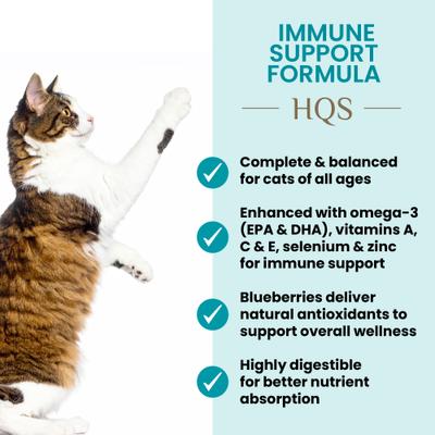 HQS Supportive Formulas Immune Support Formula Shredded Chicken Recipe with Blueberry in Gravy Wet Cat Food, 1.77-oz can, case of 6