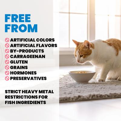 HQS Supportive Formulas Indoor Formula Flaked Tuna Recipe in Gravy Wet Cat Food, 1.77-oz can, case of 6