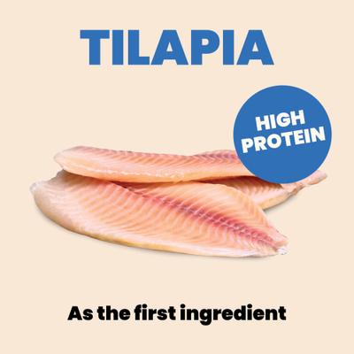 HQS Complete Tilapia Recipe in Gravy Wet Cat Food, 2.47-oz can, case of 12