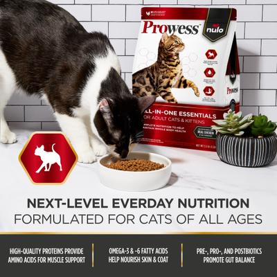Prowess All-in-One Essentials Adult & Kitten Dry Cat Food, 6-lb bag