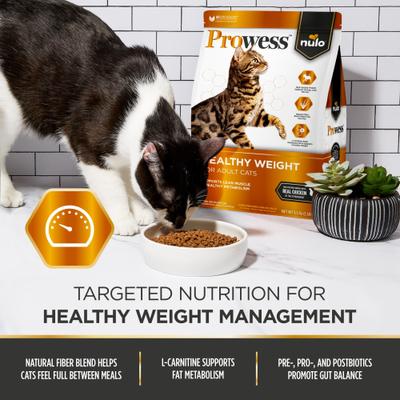 Prowess Healthy Weight Adult Dry Cat Food, 13-lb bag