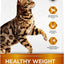 Prowess Healthy Weight Adult Dry Cat Food, 13-lb bag