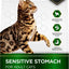 Prowess Sensitive Stomach Adult Dry Cat Food, 3.5-lb bag