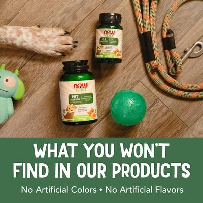 GI Support Dog & Cat Supplement, 90 count