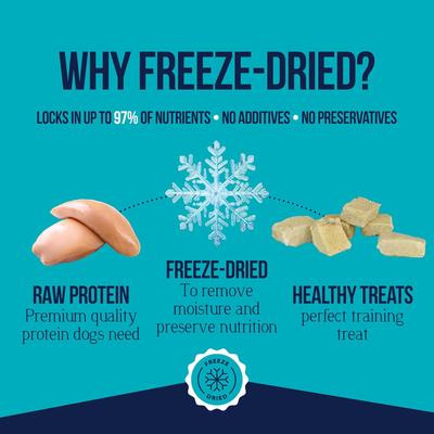 Chicken Breast Single Ingredient Freeze-Dried Dog Treats, 2.5-oz pouch
