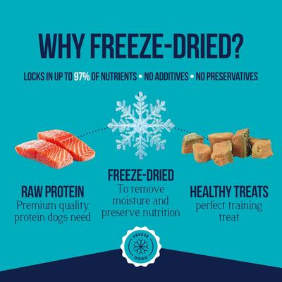 Wild Salmon Single Ingredient Freeze-Dried Dog Treats, 2.75-oz pouch