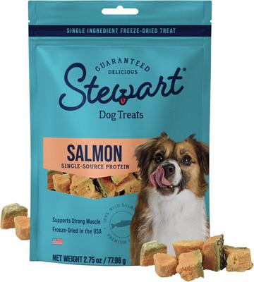 Wild Salmon Single Ingredient Freeze-Dried Dog Treats, 2.75-oz pouch