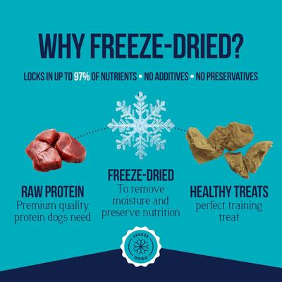 Chicken Liver Single Ingredient Freeze-Dried Dog Treats, 2.5-oz bag