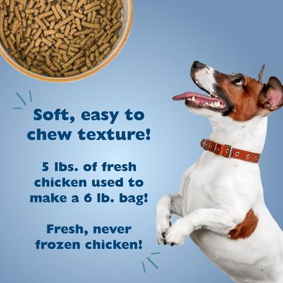 Paquete: Alimento seco para perros Bil-Jac Picky No More Small Breed Chicken Liver Recipe (bolsa de 2.7 kg) + Premios de entrenamiento para perros Bil-Jac Little-Jacs Small Dog Chicken Liver (bolsa de 473 g)